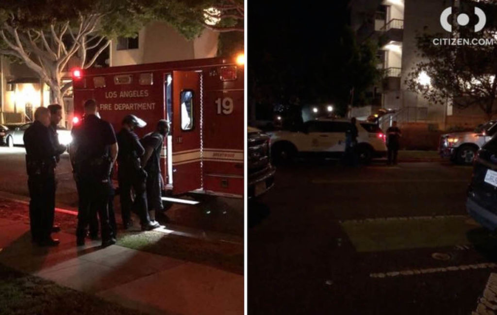 Suspect Remains At Large Following Brentwood Crime Spree Brentwood News