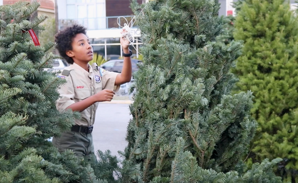 Christmas Tree Lot Celebrates 75th Year Hosted by Boy Scouts Brentwood News