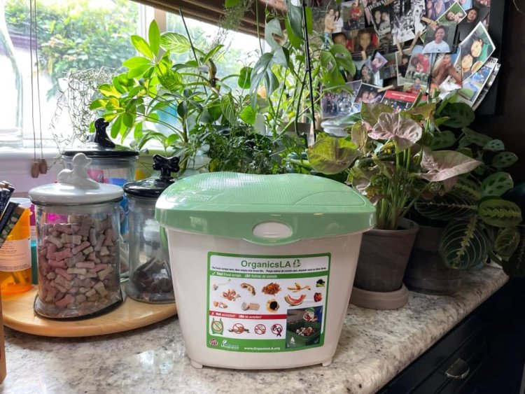 LA Residents Required to Place Food Scraps, Yard Waste in Green Bin For